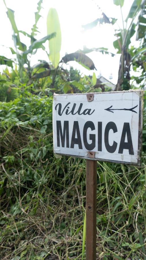 Villa Magica أوبود المظهر الخارجي الصورة